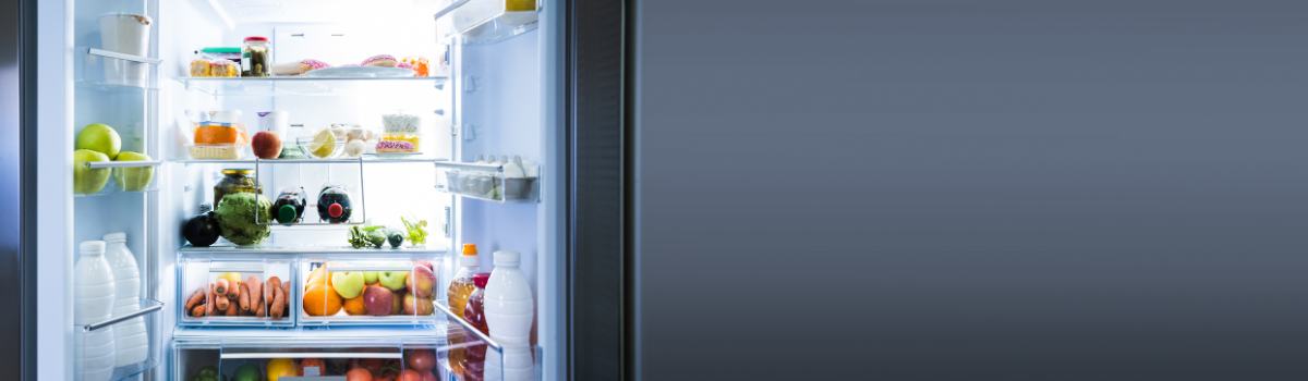Bosch Refrigerator Stopped Cooling