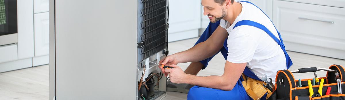 Electrolux Refrigerator Making Noise